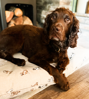 Cushions for the other love in your life